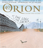 Orion